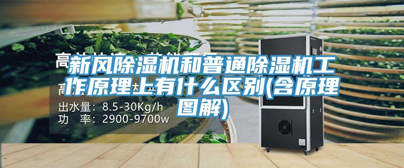 新風(fēng)除濕機和普通除濕機工作原理上有什么區(qū)別(含原理圖解)