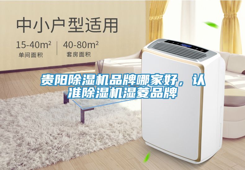 貴陽除濕機品牌哪家好，認準(zhǔn)除濕機濕菱品牌