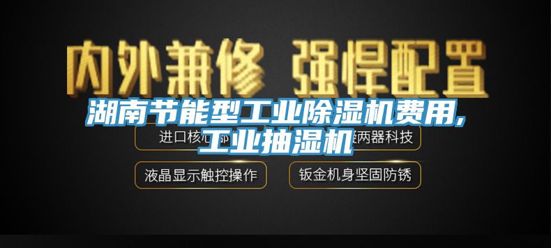 湖南節(jié)能型工業(yè)除濕機費用,工業(yè)抽濕機