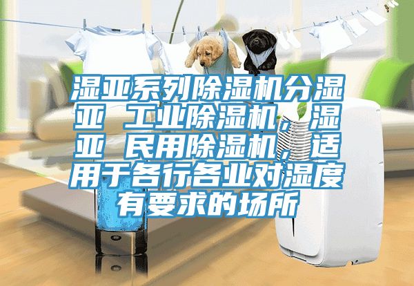 濕亞系列除濕機(jī)分濕亞 工業(yè)除濕機(jī)，濕亞 民用除濕機(jī)，適用于各行各業(yè)對濕度有要求的場所