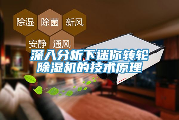 深入分析下迷你轉(zhuǎn)輪除濕機的技術原理