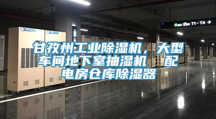 甘孜州工業(yè)除濕機，大型車間地下室抽濕機  配電房倉庫除濕器