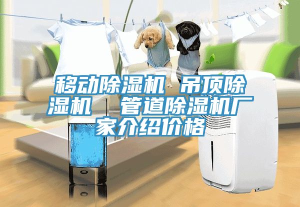 移動除濕機 吊頂除濕機  管道除濕機廠家介紹價格