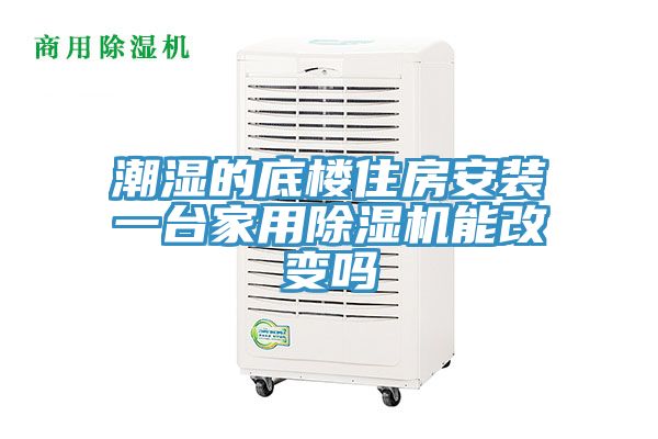 潮濕的底樓住房安裝一臺家用除濕機能改變嗎