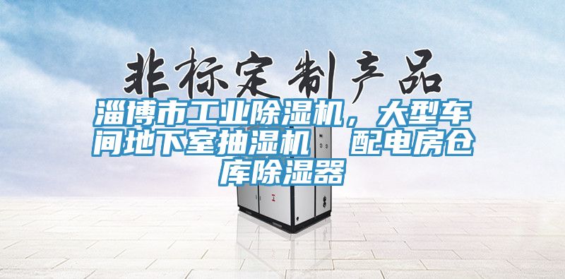 淄博市工業(yè)除濕機，大型車間地下室抽濕機  配電房倉庫除濕器