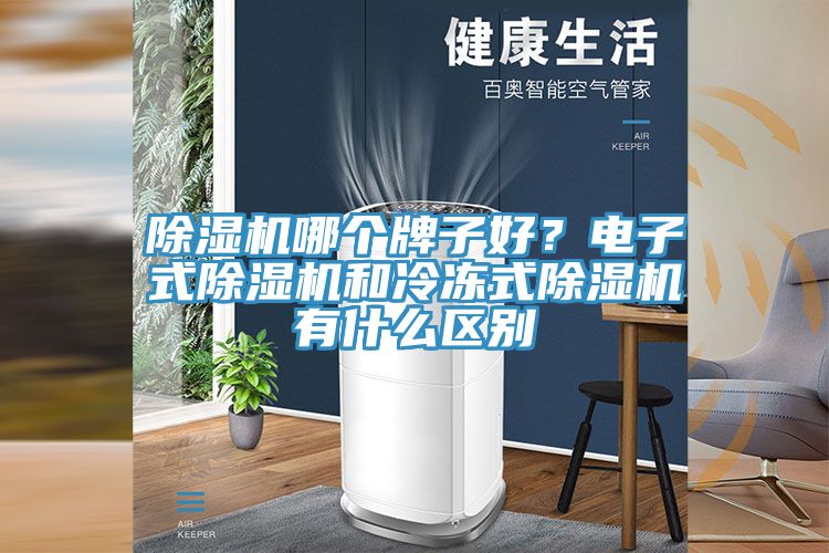 除濕機哪個牌子好？電子式除濕機和冷凍式除濕機有什么區(qū)別