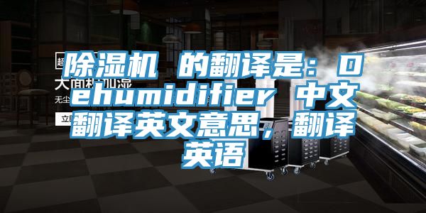 除濕機(jī) 的翻譯是：Dehumidifier 中文翻譯英文意思，翻譯英語