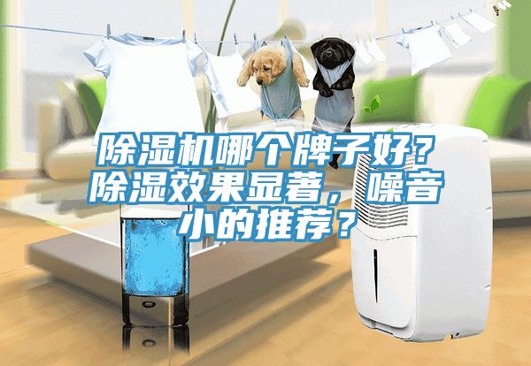 除濕機(jī)哪個(gè)牌子好？除濕效果顯著，噪音小的推薦？