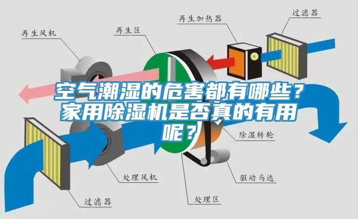 空氣潮濕的危害都有哪些？家用除濕機是否真的有用呢？