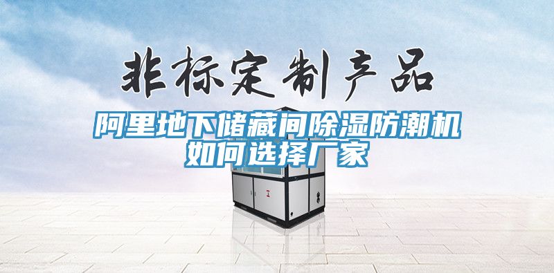 阿里地下儲(chǔ)藏間除濕防潮機(jī)如何選擇廠(chǎng)家