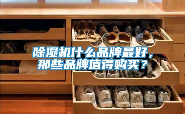 除濕機(jī)什么品牌最好，那些品牌值得購買？