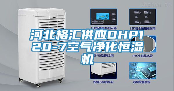 河北格匯供應(yīng)DHP120-7空氣凈化恒濕機