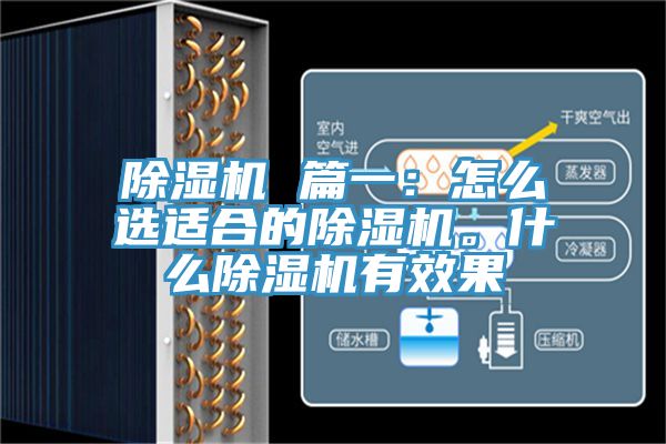 除濕機 篇一：怎么選適合的除濕機。什么除濕機有效果