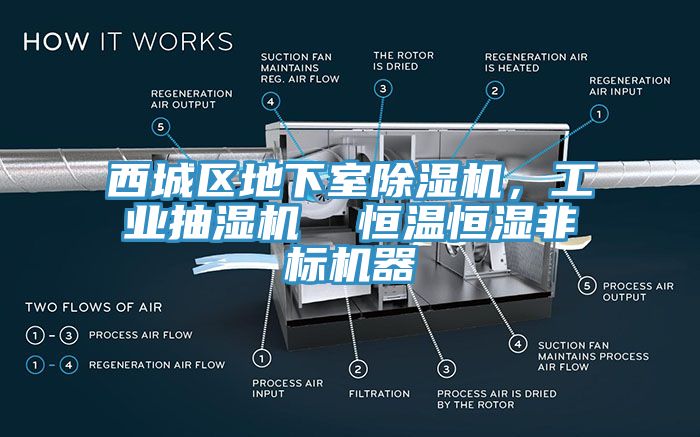 西城區(qū)地下室除濕機(jī)，工業(yè)抽濕機(jī)  恒溫恒濕非標(biāo)機(jī)器