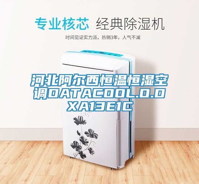 河北阿爾西恒溫恒濕空調(diào)DATACOOL.O.DXA13E1C