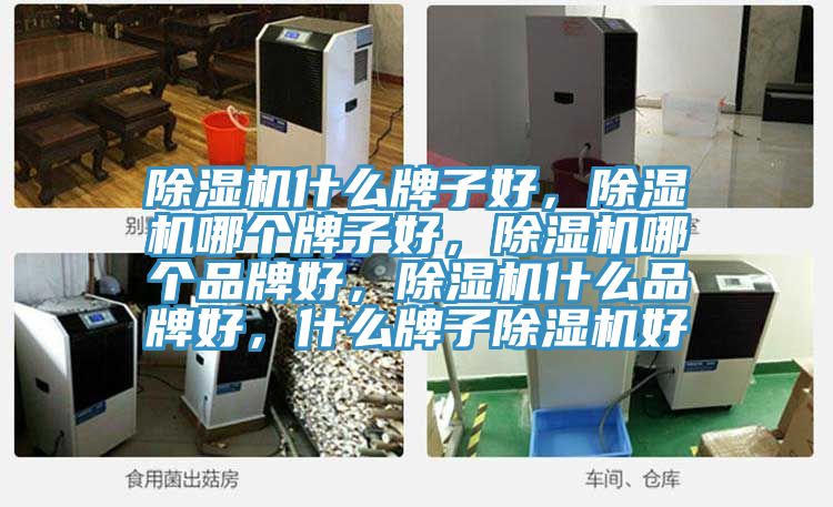 除濕機什么牌子好，除濕機哪個牌子好，除濕機哪個品牌好，除濕機什么品牌好，什么牌子除濕機好