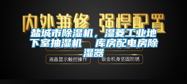 鹽城市除濕機(jī)，濕菱工業(yè)地下室抽濕機(jī)  庫房配電房除濕器