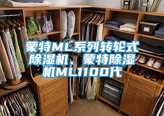 蒙特ML系列轉(zhuǎn)輪式除濕機、蒙特除濕機ML1100代