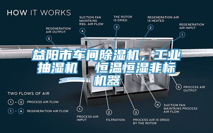 益陽市車間除濕機，工業(yè)抽濕機  恒溫恒濕非標機器