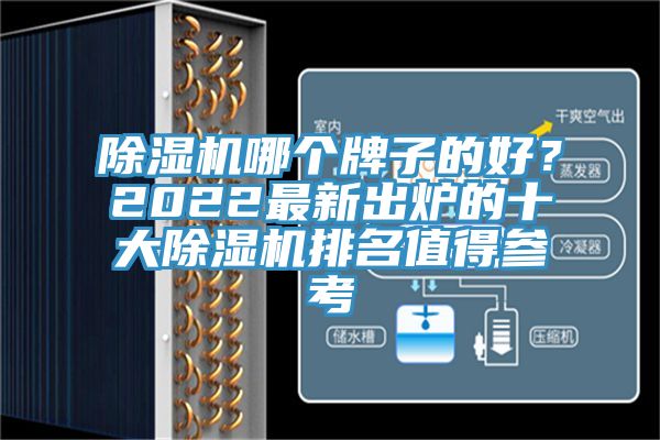 除濕機(jī)哪個(gè)牌子的好？2022最新出爐的十大除濕機(jī)排名值得參考