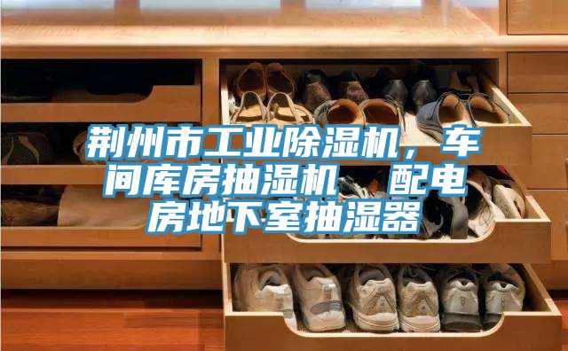 荊州市工業(yè)除濕機，車間庫房抽濕機  配電房地下室抽濕器