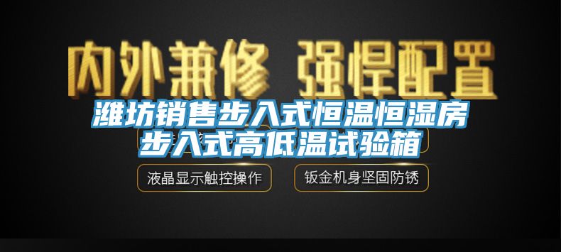 濰坊銷(xiāo)售步入式恒溫恒濕房步入式高低溫試驗(yàn)箱