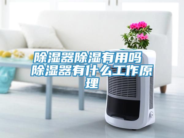 除濕器除濕有用嗎 除濕器有什么工作原理