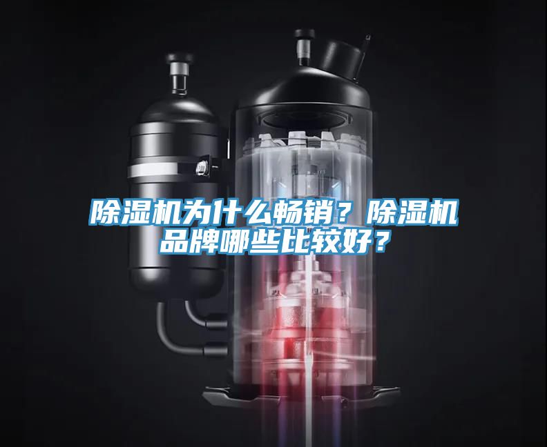 除濕機(jī)為什么暢銷？除濕機(jī)品牌哪些比較好？