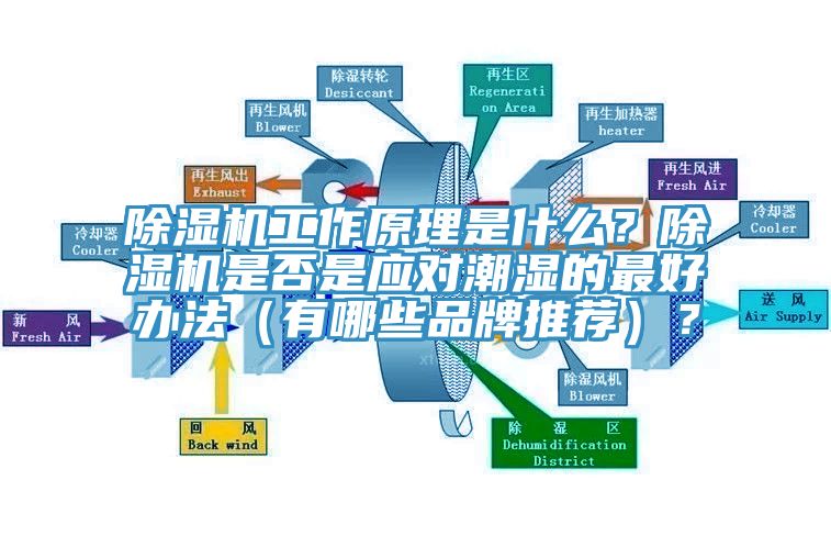 除濕機工作原理是什么？除濕機是否是應對潮濕的最好辦法（有哪些品牌推薦）？