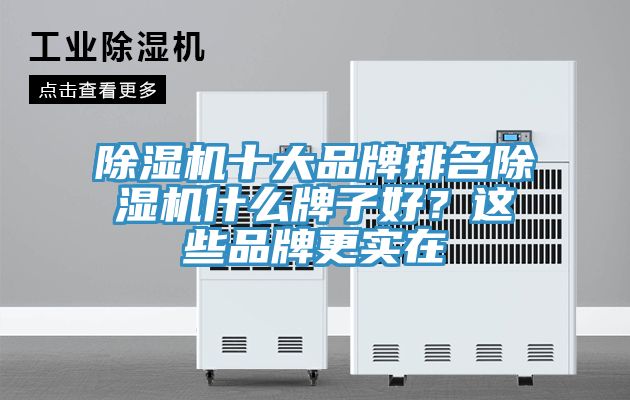 除濕機十大品牌排名除濕機什么牌子好？這些品牌更實在