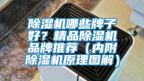 除濕機哪些牌子好？精品除濕機品牌推薦（內(nèi)附除濕機原理圖解）