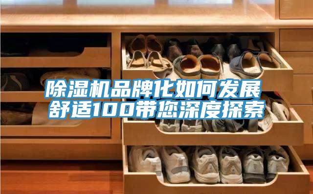 除濕機品牌化如何發(fā)展　　舒適100帶您深度探索