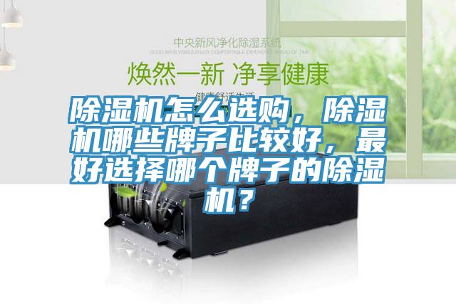 除濕機怎么選購，除濕機哪些牌子比較好，最好選擇哪個牌子的除濕機？