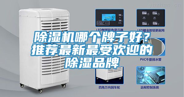 除濕機哪個牌子好？推薦最新最受歡迎的除濕品牌