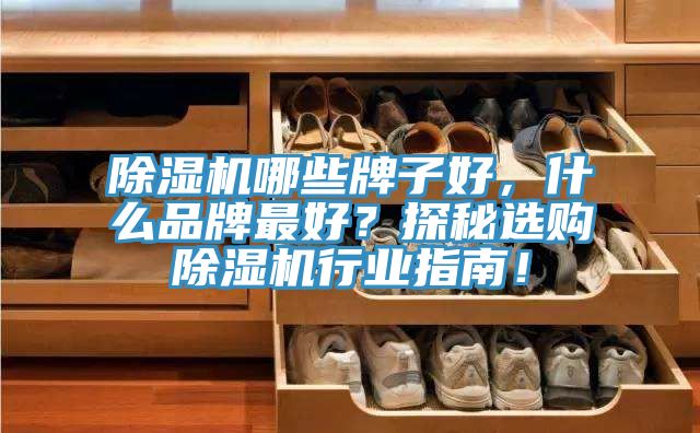 除濕機哪些牌子好，什么品牌最好？探秘選購除濕機行業(yè)指南！