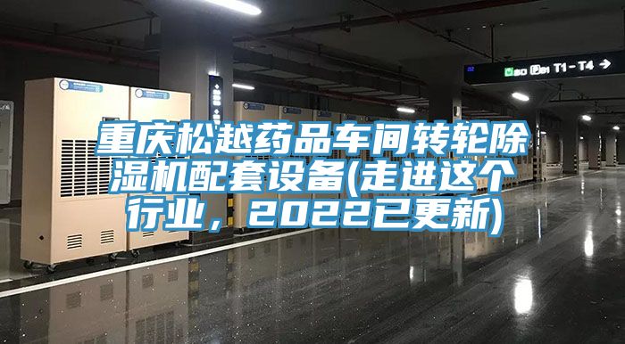 重慶松越藥品車間轉輪除濕機配套設備(走進這個行業(yè)，2022已更新)