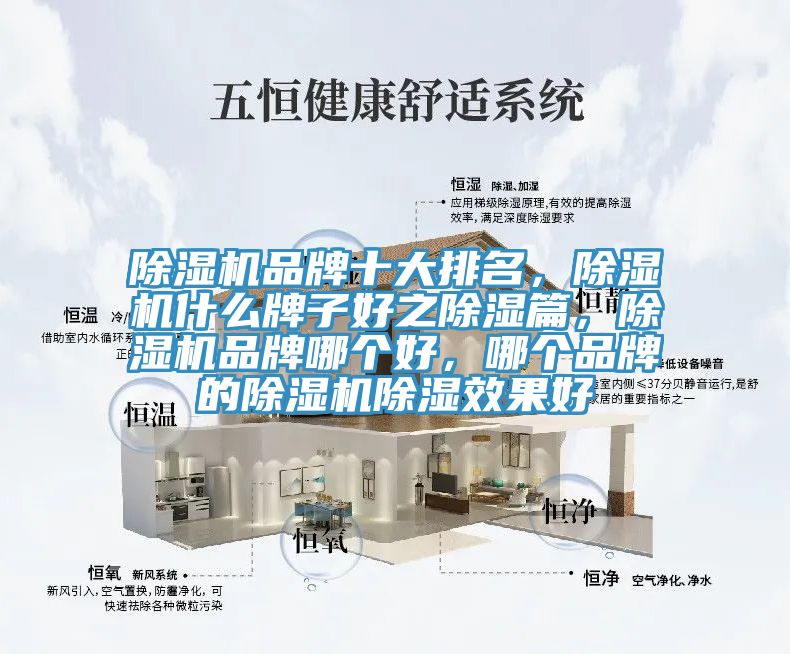 除濕機(jī)品牌十大排名，除濕機(jī)什么牌子好之除濕篇，除濕機(jī)品牌哪個(gè)好，哪個(gè)品牌的除濕機(jī)除濕效果好