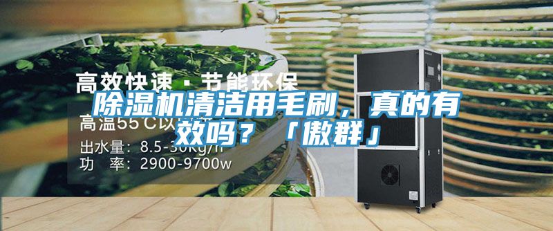 除濕機(jī)清潔用毛刷，真的有效嗎？「傲群」