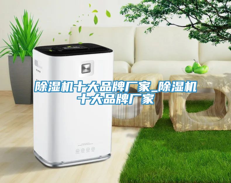 除濕機(jī)十大品牌廠家_除濕機(jī)十大品牌廠家