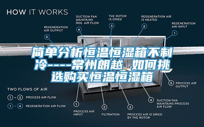 簡單分析恒溫恒濕箱不制冷----常州朗越 如何挑選購買恒溫恒濕箱