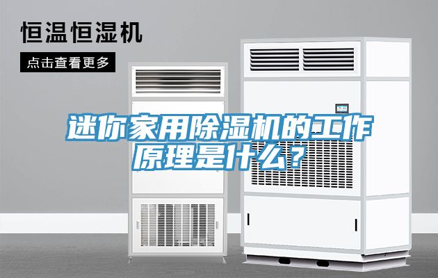 迷你家用除濕機(jī)的工作原理是什么？