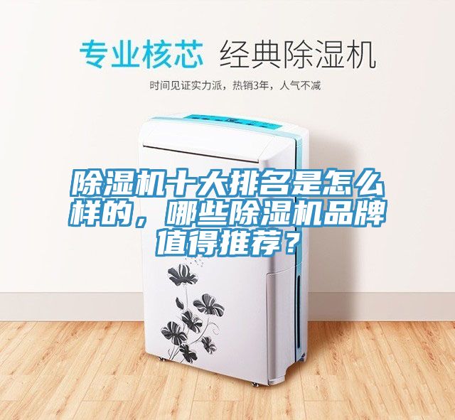 除濕機十大排名是怎么樣的，哪些除濕機品牌值得推薦？