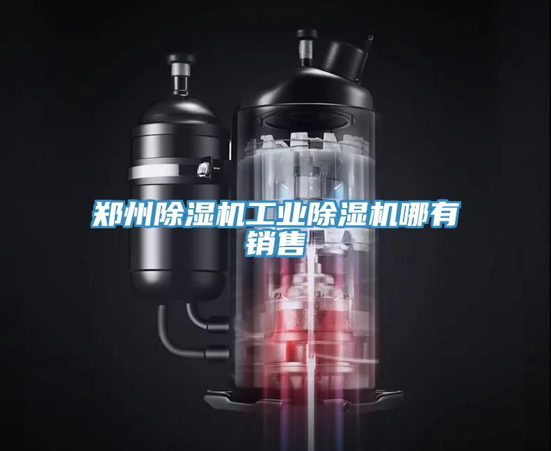 鄭州除濕機(jī)工業(yè)除濕機(jī)哪有銷(xiāo)售