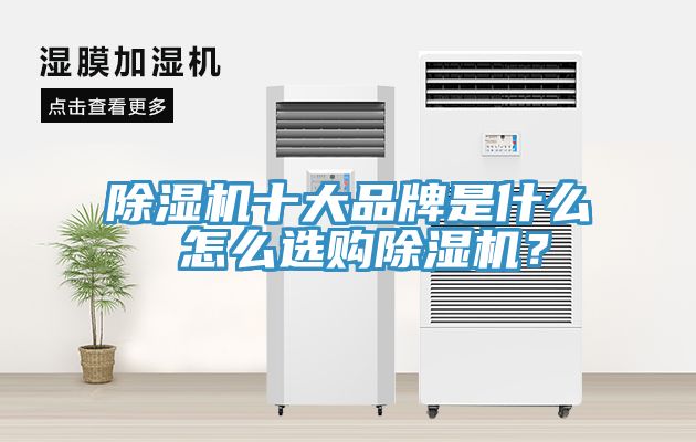 除濕機十大品牌是什么 怎么選購除濕機？