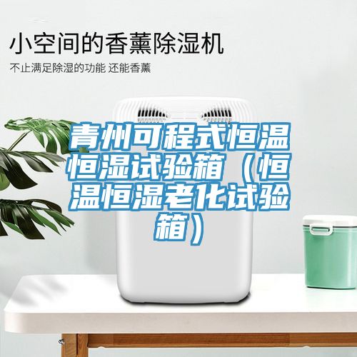 青州可程式恒溫恒濕試驗(yàn)箱（恒溫恒濕老化試驗(yàn)箱）