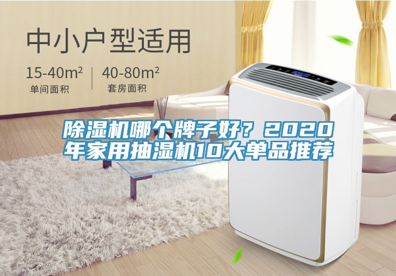 除濕機哪個牌子好？2020年家用抽濕機10大單品推薦