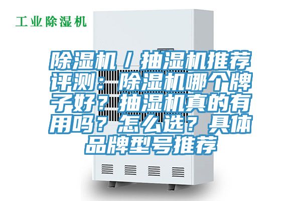 除濕機／抽濕機推薦評測：除濕機哪個牌子好？抽濕機真的有用嗎？怎么選？具體品牌型號推薦