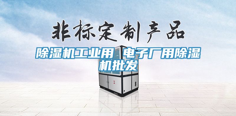 除濕機(jī)工業(yè)用 電子廠用除濕機(jī)批發(fā)