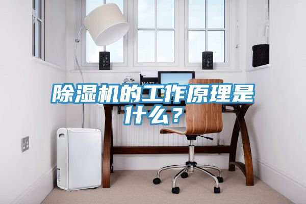 除濕機的工作原理是什么？