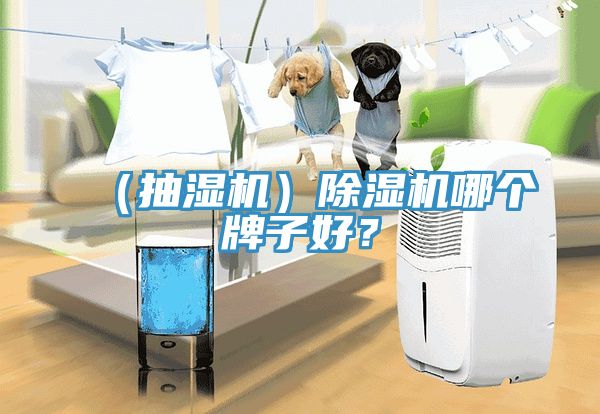 （抽濕機）除濕機哪個牌子好？